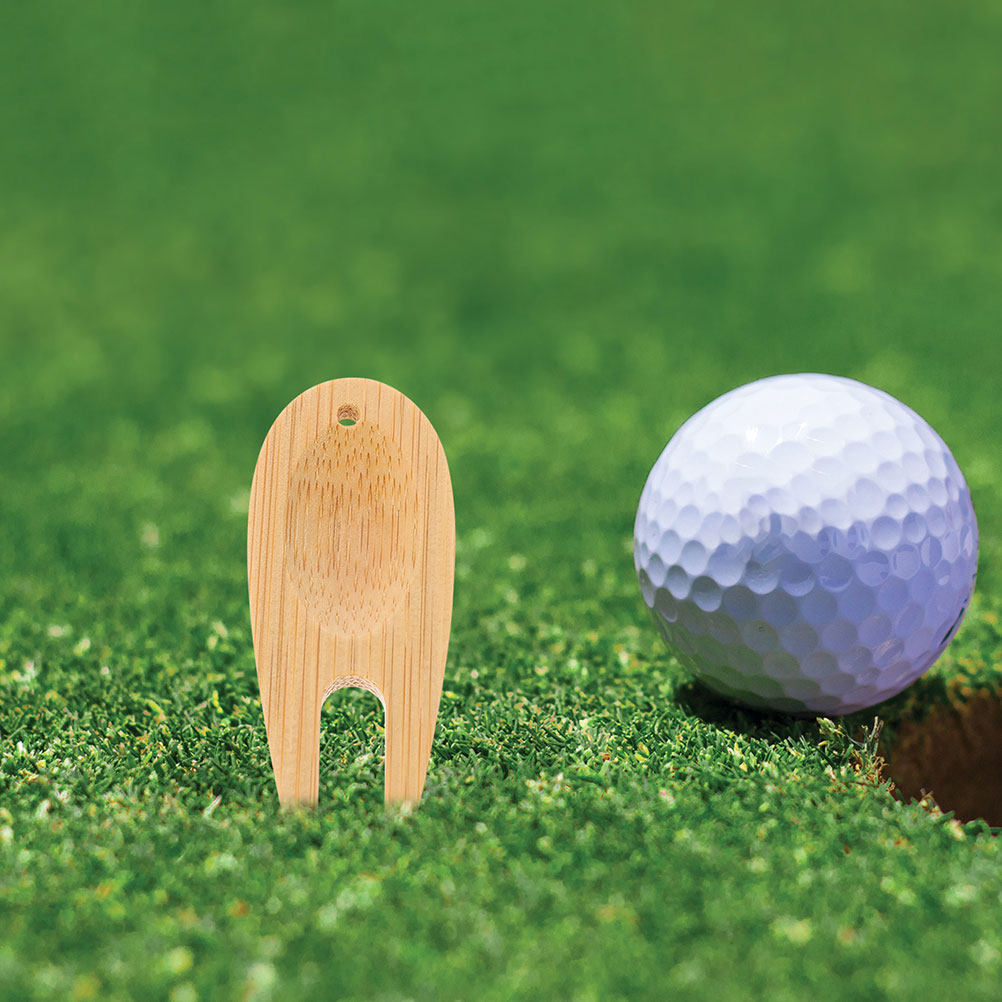 12Pcs Wooden Golf Divot Repair - đánh giá và giá Divot Repair Tool