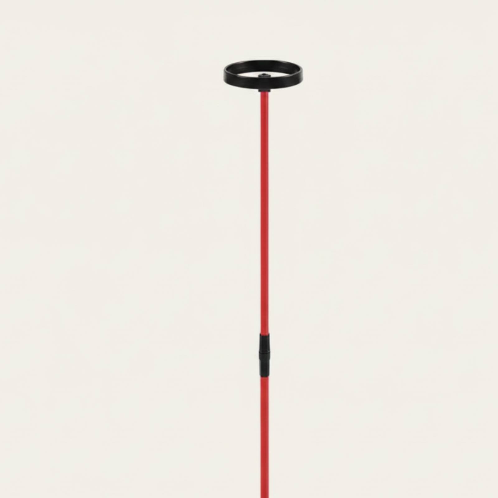 Golf Training Aid with Head St - đánh giá và giá Training Aid Swing